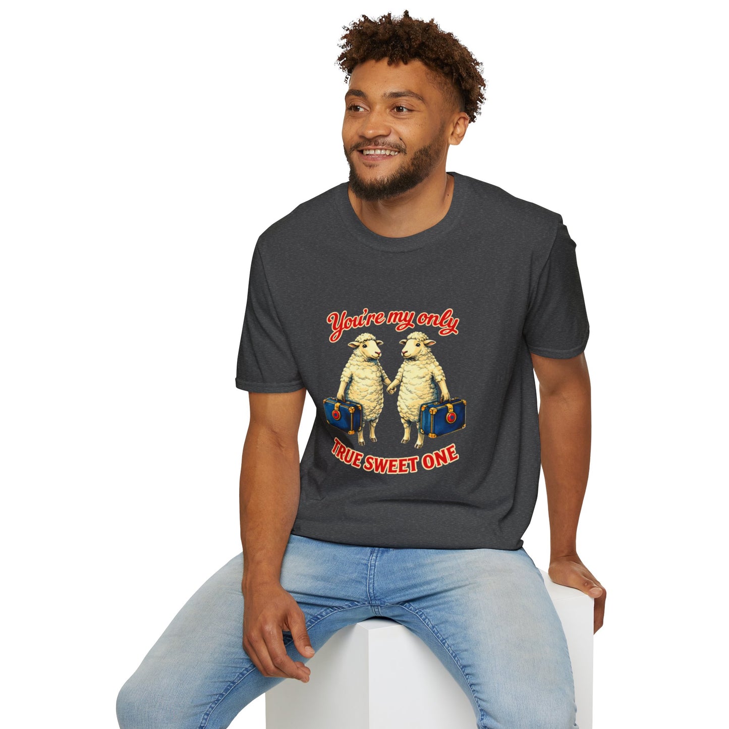 “You’re My Only True Sweet One” Phish My Sweet One Comfort T-Shirt